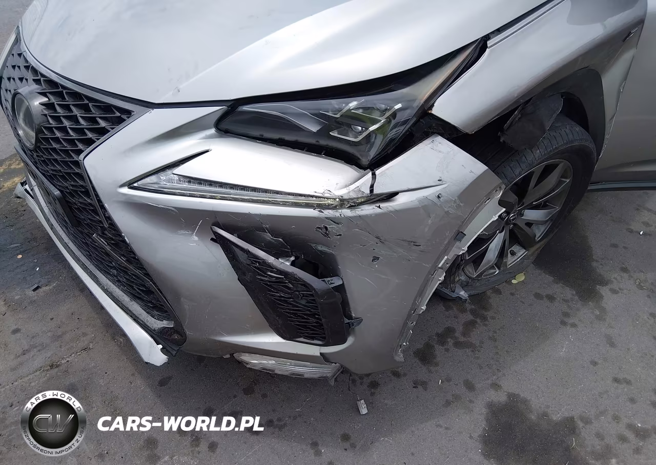 2019 Lexus Nx 300 F Sport VIN:JTJYARBZ8K2130371 - 6