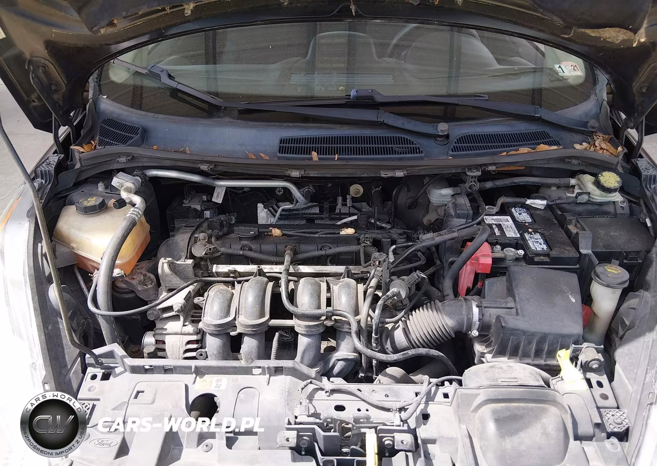 2014 Ford Fiesta Se VIN:3FADP4BJ8EM127518 - 10