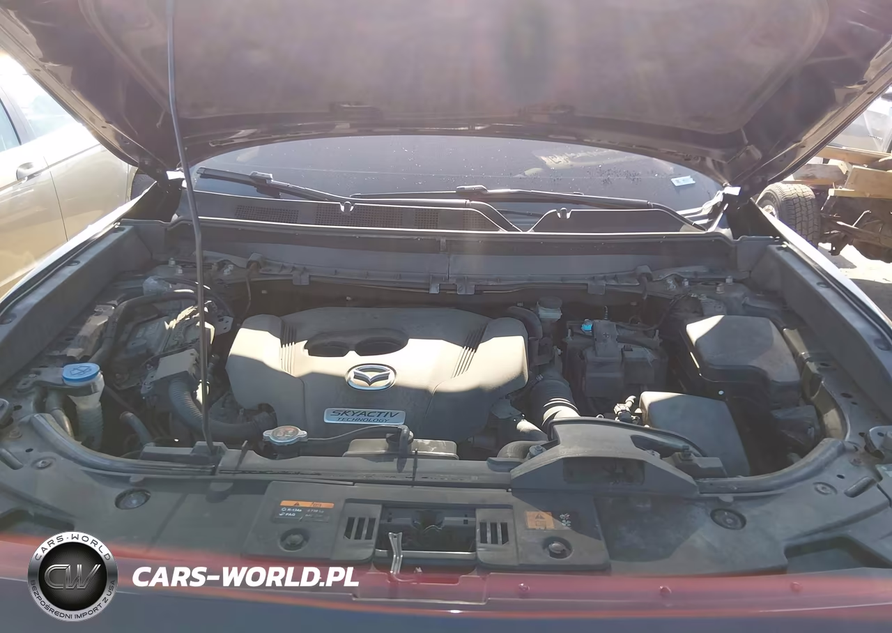 2019 Mazda Cx-9 Grand Touring VIN:JM3TCBDY8K0310777 - 10