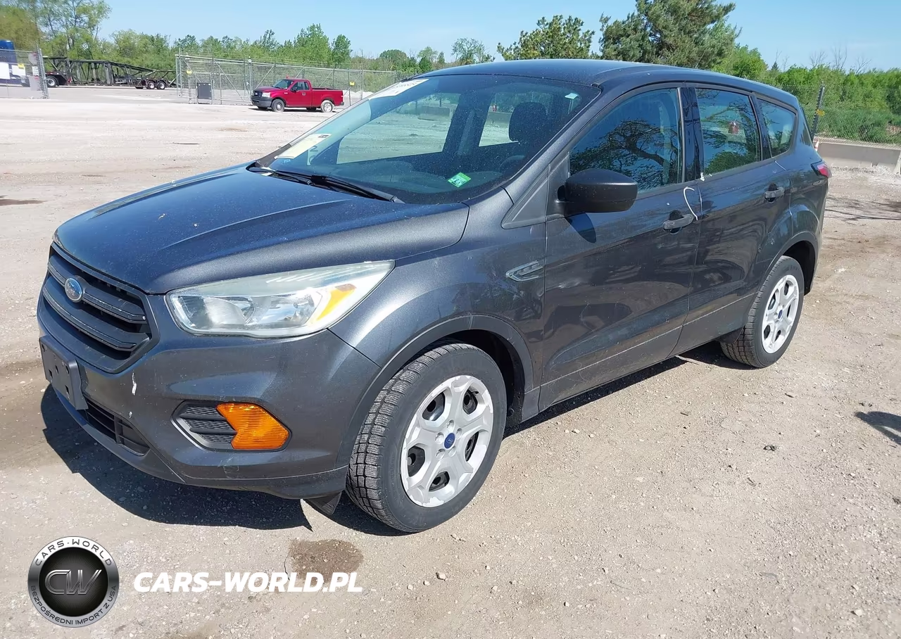 2017 Ford Escape S VIN:1FMCU0F75HUC79984 - 2