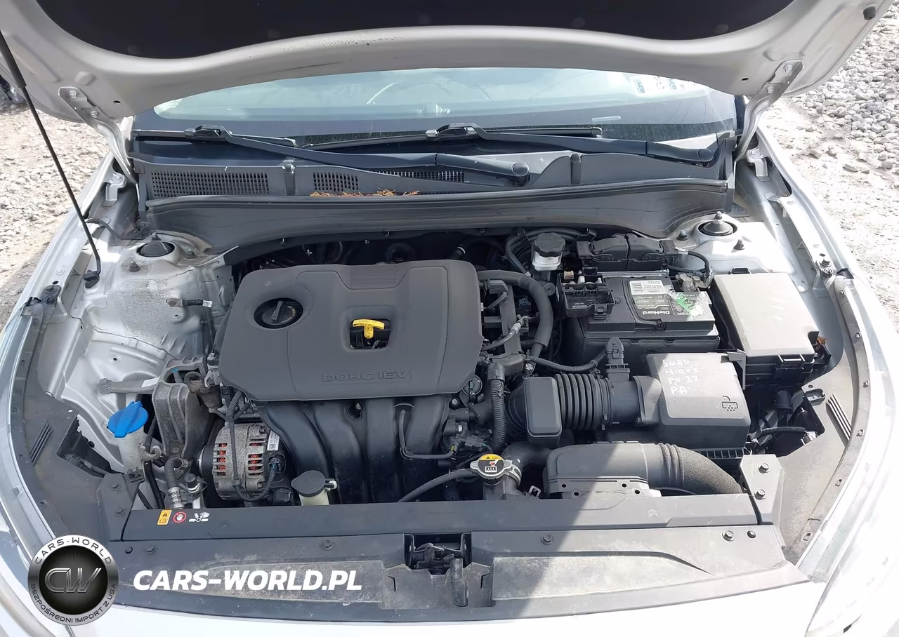 2019 Kia Forte Lxs VIN:3KPF24AD2KE117893 - 10