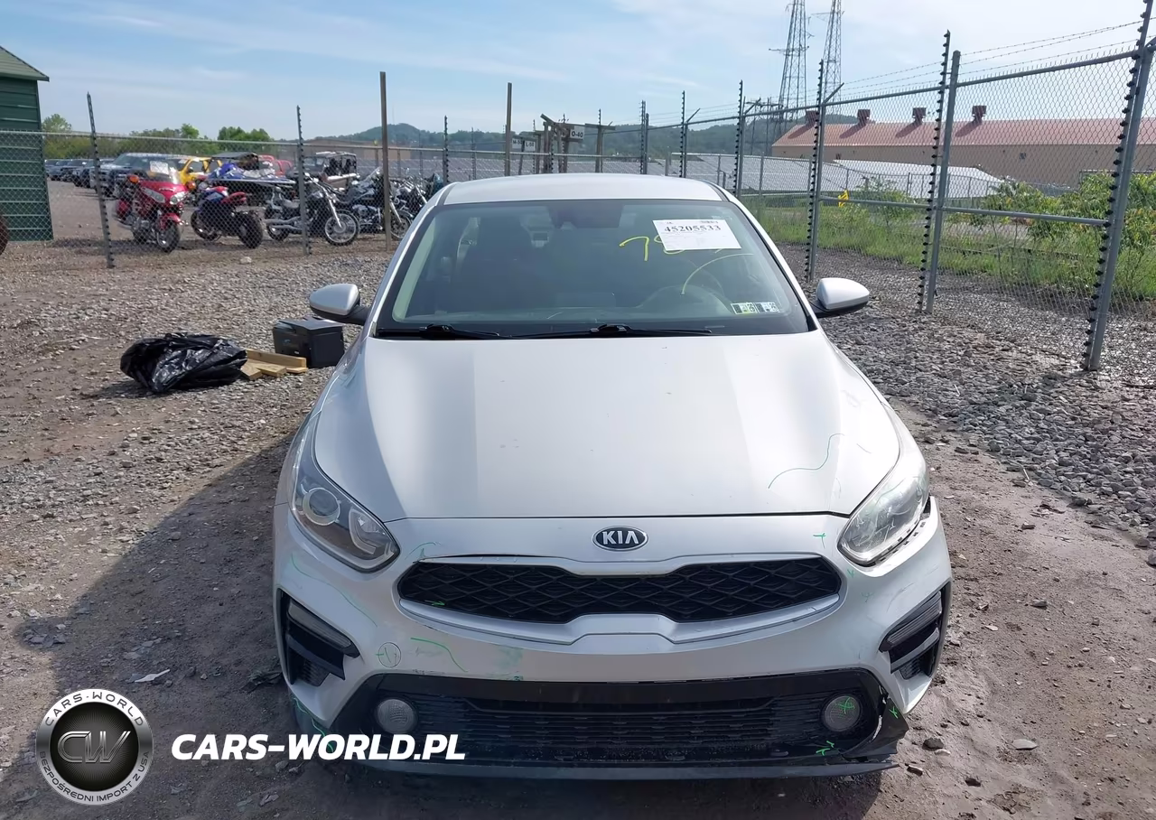 2019 Kia Forte Lxs VIN:3KPF24AD2KE117893 - 12