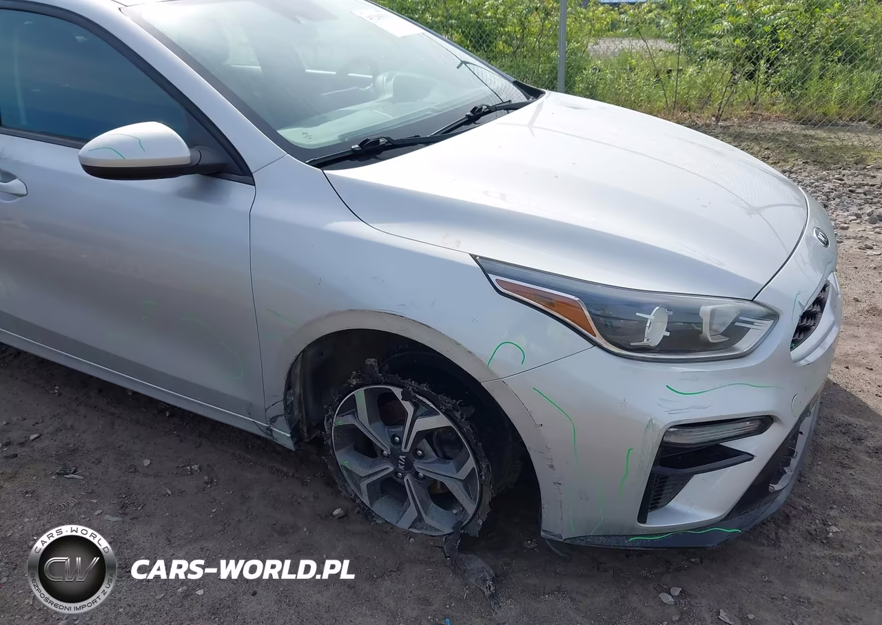 2019 Kia Forte Lxs VIN:3KPF24AD2KE117893 - 17