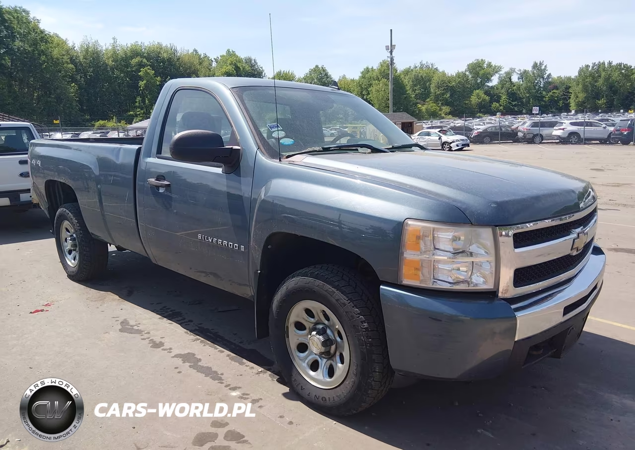 2009 Chevrolet Silverado 1500 Work Truck