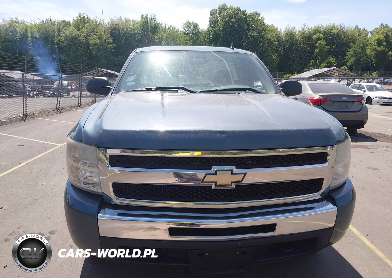 2009 Chevrolet Silverado 1500 Work Truck VIN:1GCEK14C39Z228089 - 12