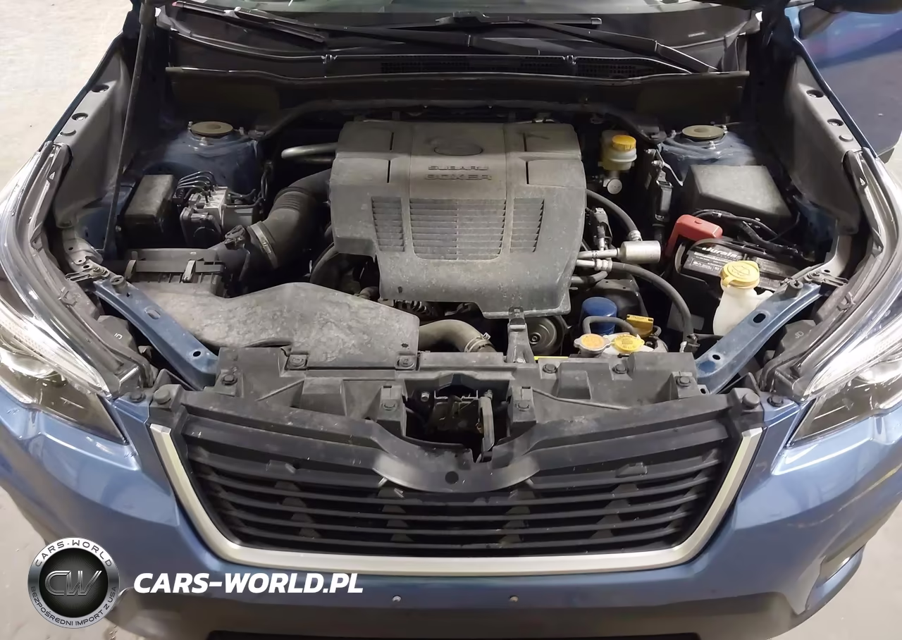 2019 Subaru Forester Premium VIN:JF2SKAEC0KH564748 - 10
