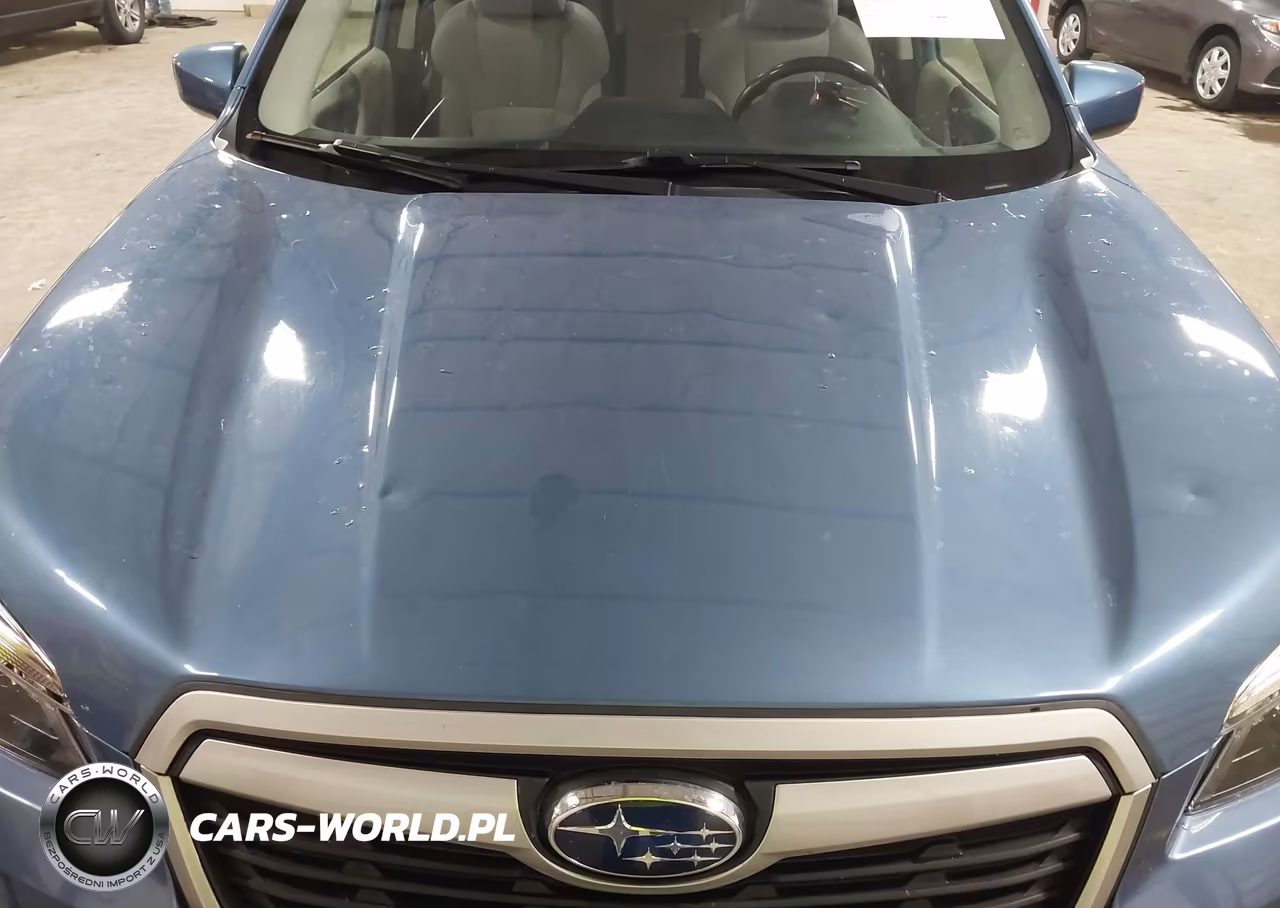 2019 Subaru Forester Premium VIN:JF2SKAEC0KH564748 - 6