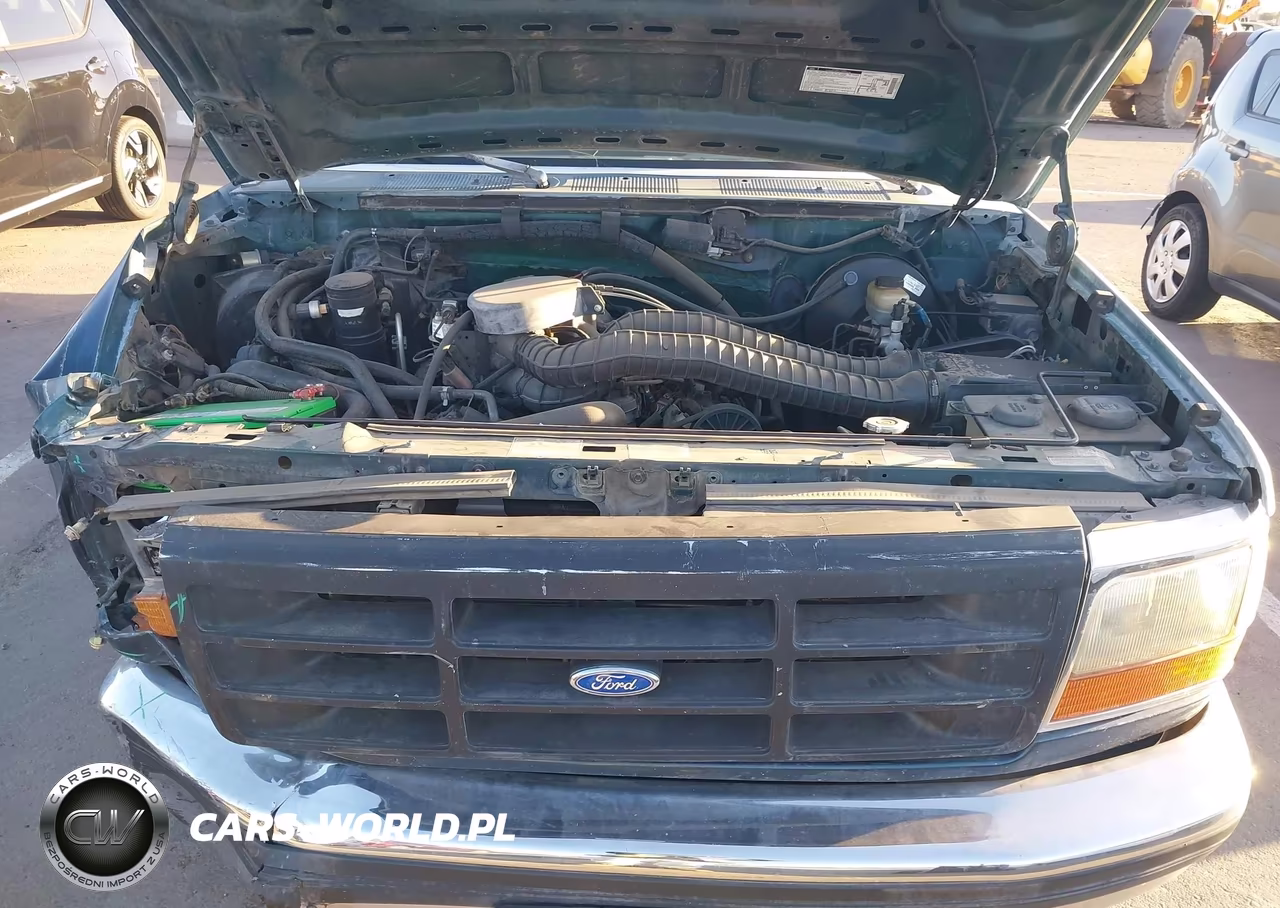 1994 Ford F150 VIN:1FTEF15H0RLA80842 - 10