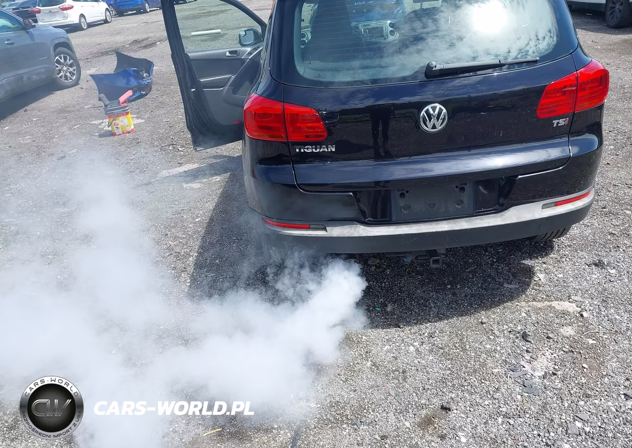 2016 Volkswagen Tiguan S VIN:WVGAV7AX9GW551279 - 12