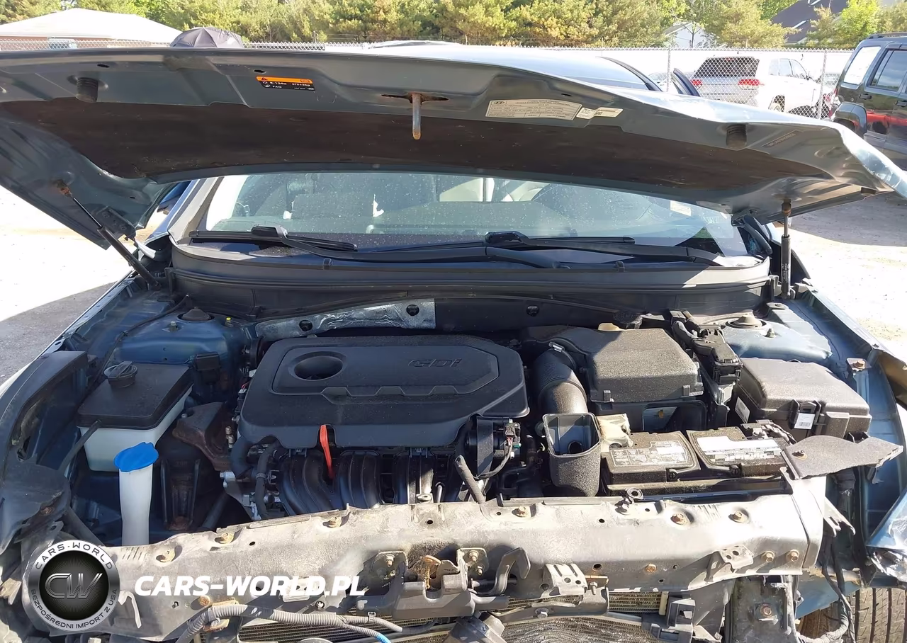 2015 Hyundai Sonata Sport VIN:5NPE34AF8FH219226 - 10