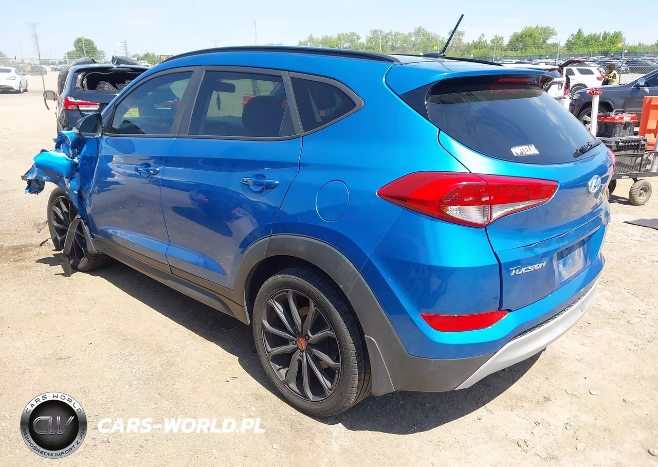 2017 Hyundai Tucson Night VIN:KM8J3CA20HU445075 - 3