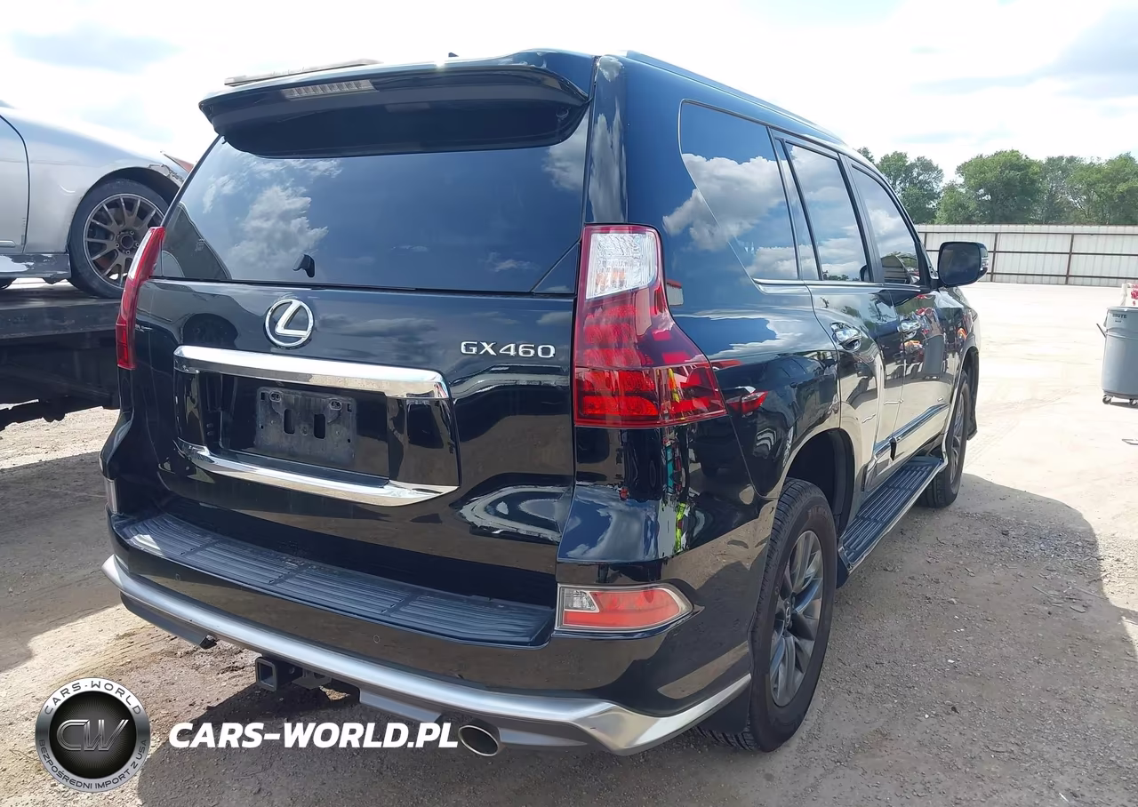 2019 Lexus Gx 460 Premium VIN:JTJBM7FX2K5220009 - 4