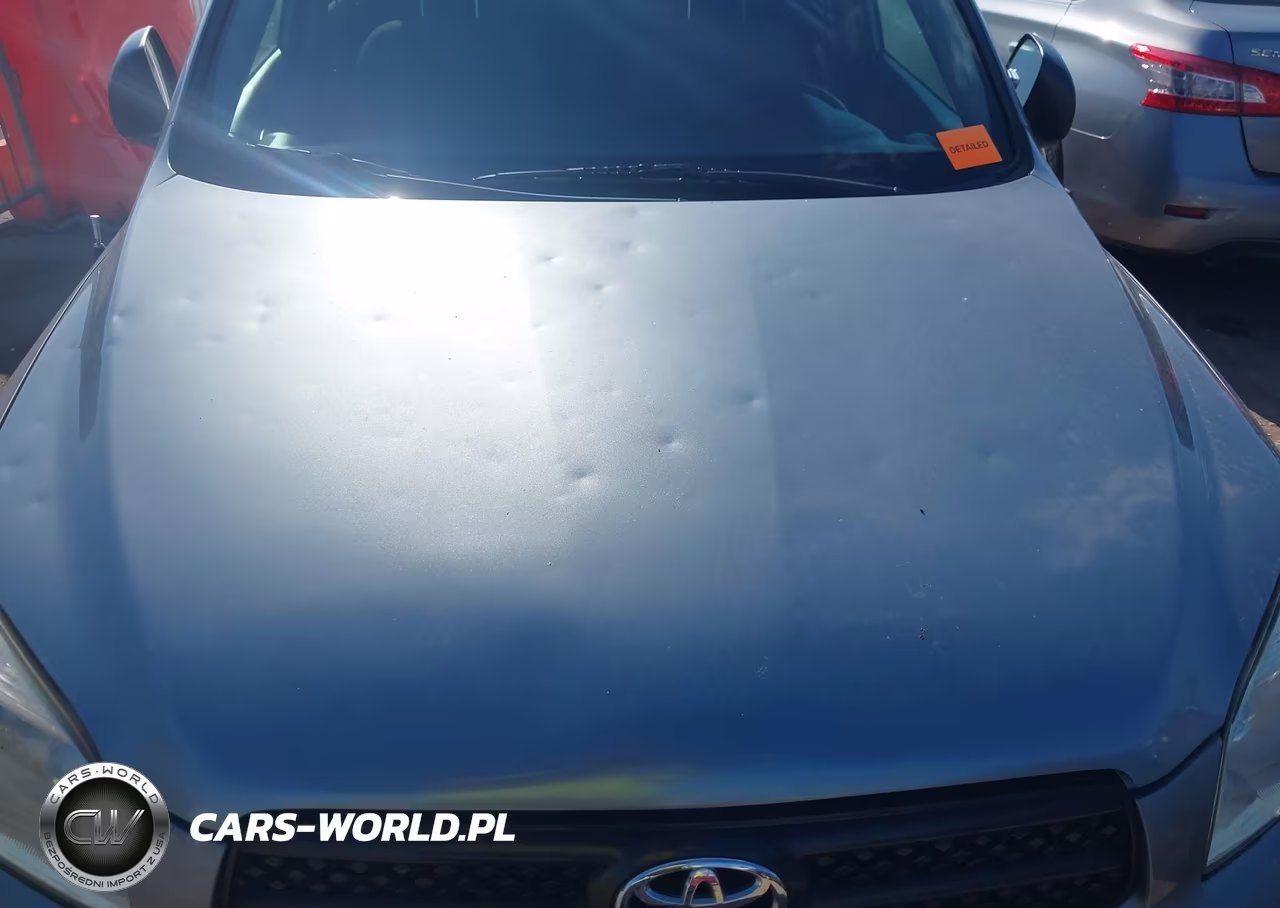 2006 Toyota Rav4 VIN:JTMZD33V665028773 - 10