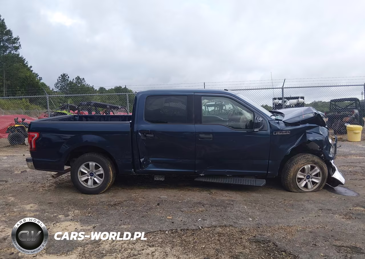 2016 Ford F-150 Xlt VIN:1FTEW1C80GKF95569 - 14