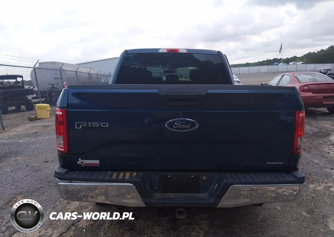 2016 Ford F-150 Xlt VIN:1FTEW1C80GKF95569 - 17