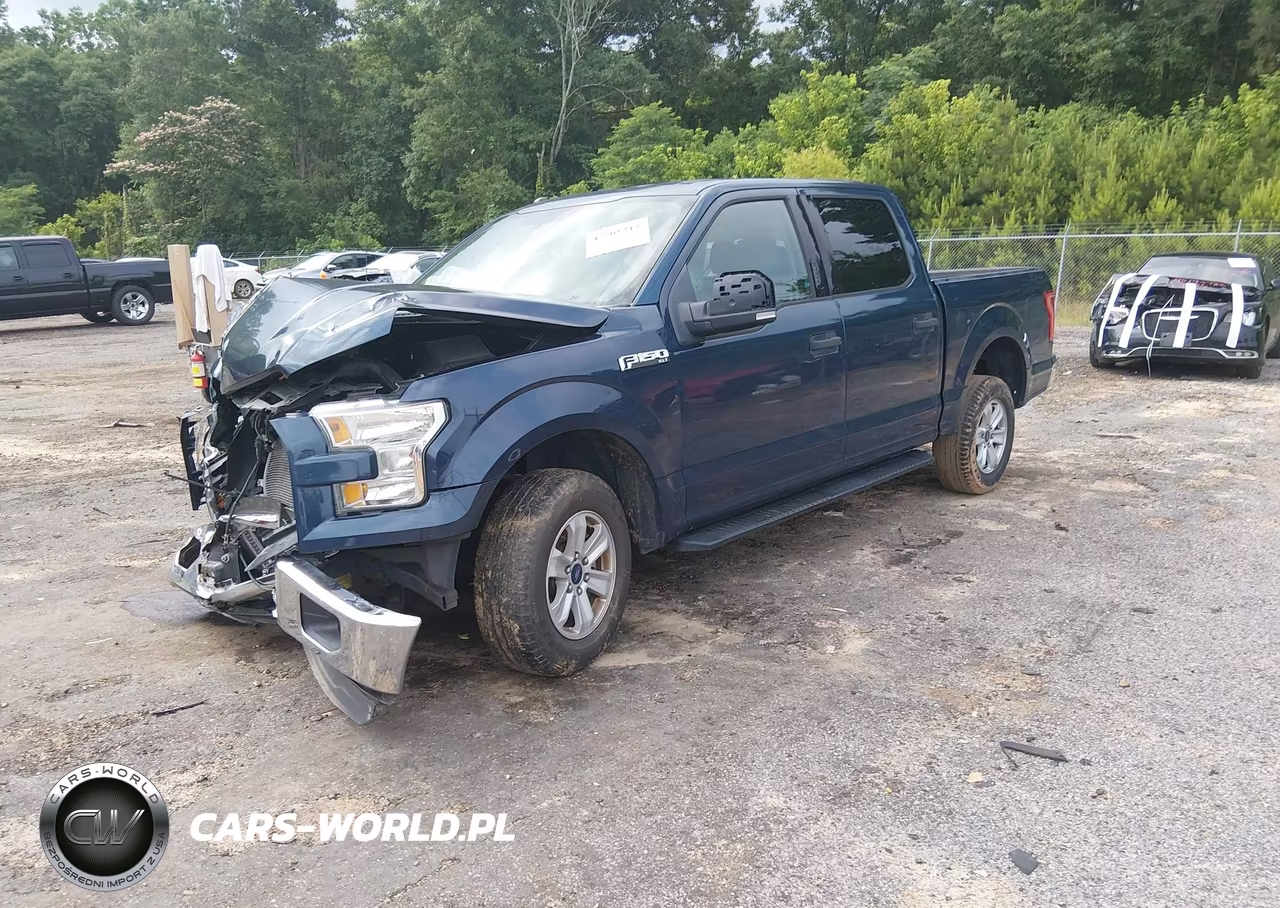2016 Ford F-150 Xlt VIN:1FTEW1C80GKF95569 - 2