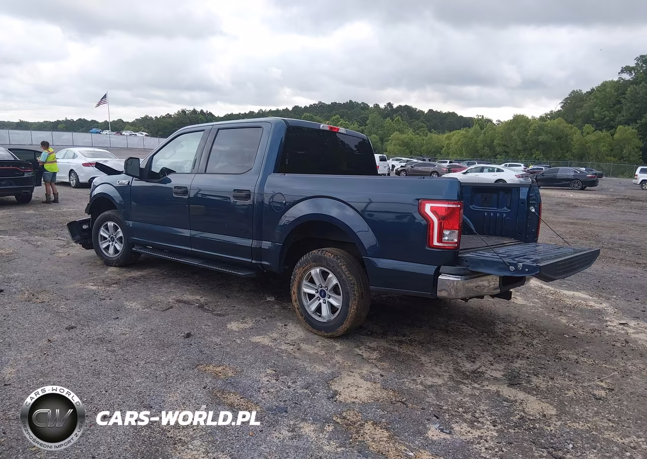 2016 Ford F-150 Xlt VIN:1FTEW1C80GKF95569 - 3