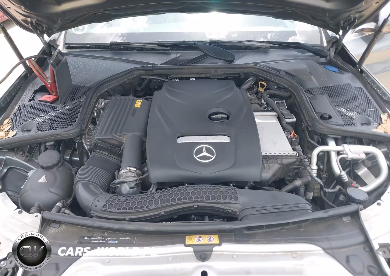 2018 Mercedes-Benz C 300 VIN:55SWF4JB5JU278930 - 10