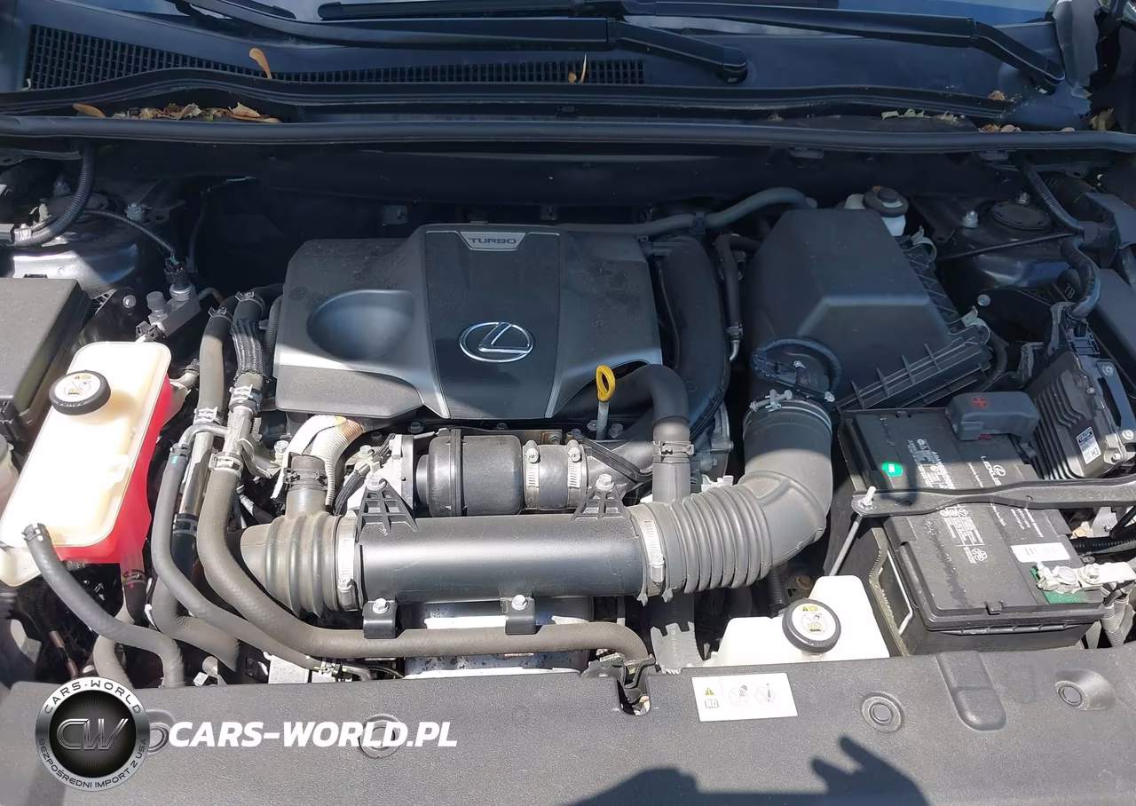 2018 Lexus Nx 300 VIN:JTJBARBZ3J2173021 - 10