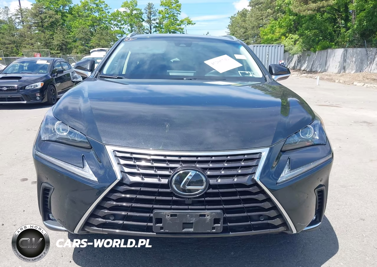 2018 Lexus Nx 300 VIN:JTJBARBZ3J2173021 - 12