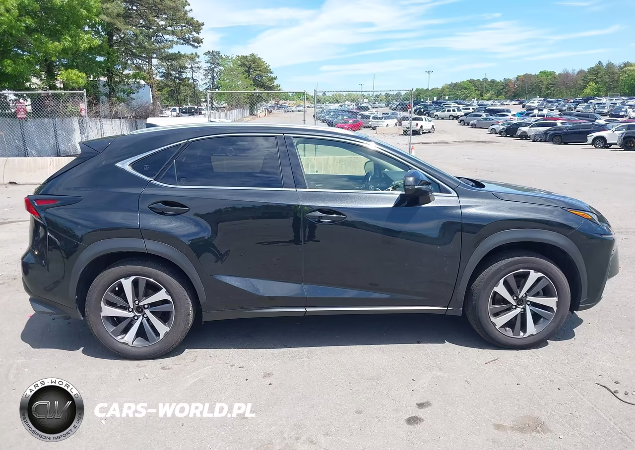 2018 Lexus Nx 300 VIN:JTJBARBZ3J2173021 - 13
