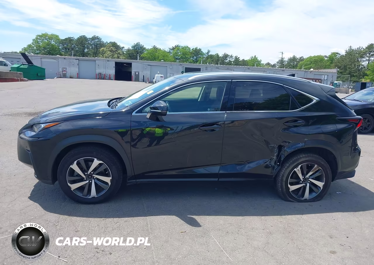 2018 Lexus Nx 300 VIN:JTJBARBZ3J2173021 - 14