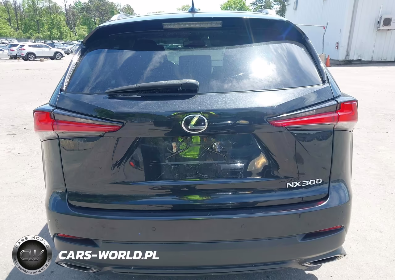 2018 Lexus Nx 300 VIN:JTJBARBZ3J2173021 - 16