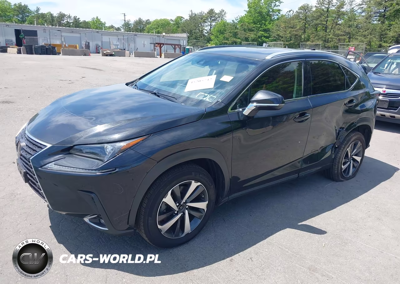 2018 Lexus Nx 300 VIN:JTJBARBZ3J2173021 - 2