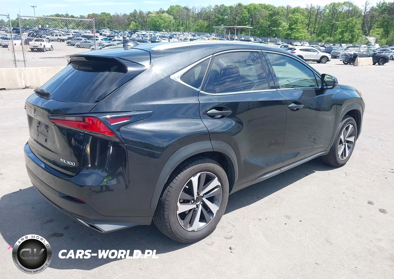 2018 Lexus Nx 300 VIN:JTJBARBZ3J2173021 - 4