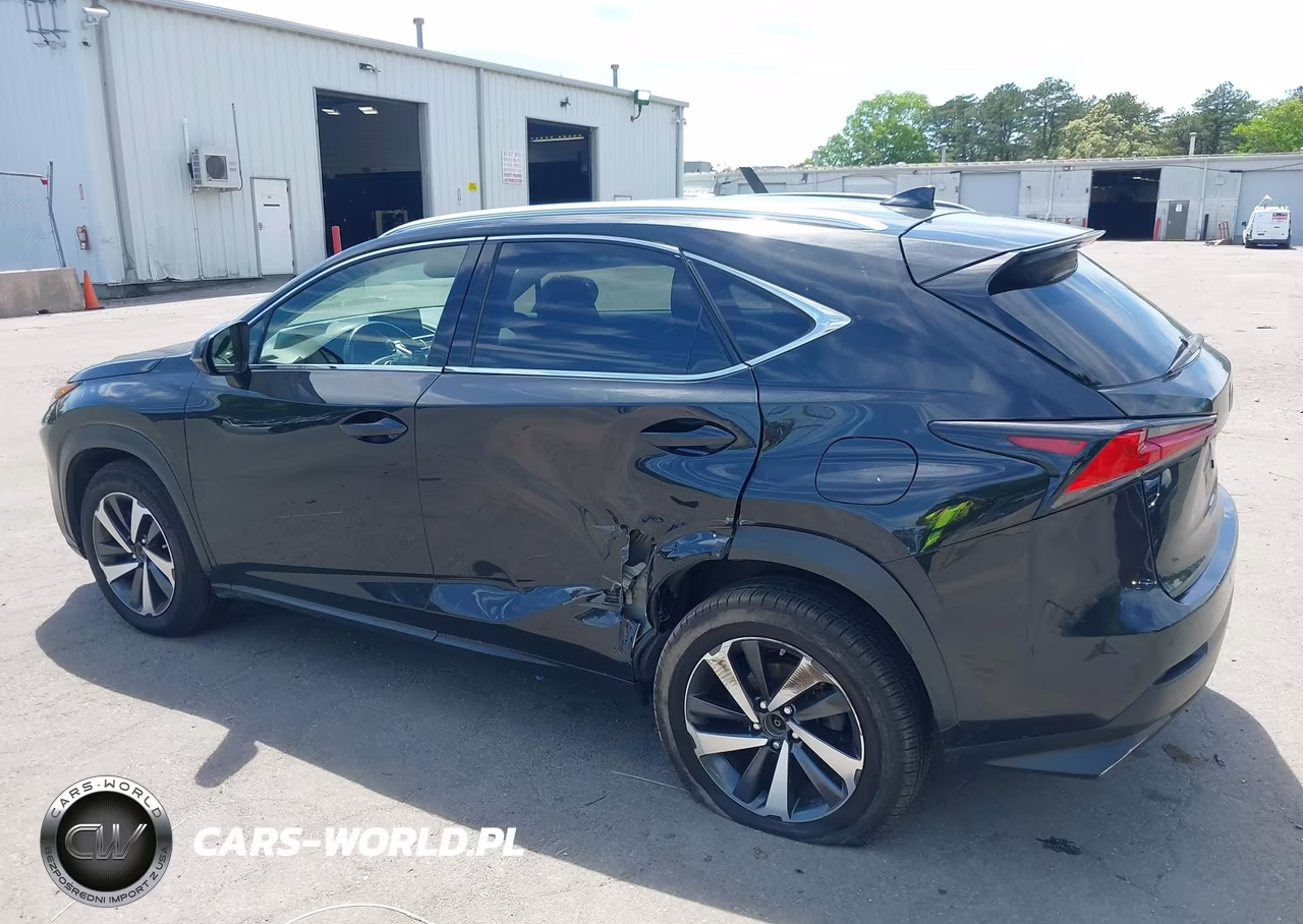2018 Lexus Nx 300 VIN:JTJBARBZ3J2173021 - 6