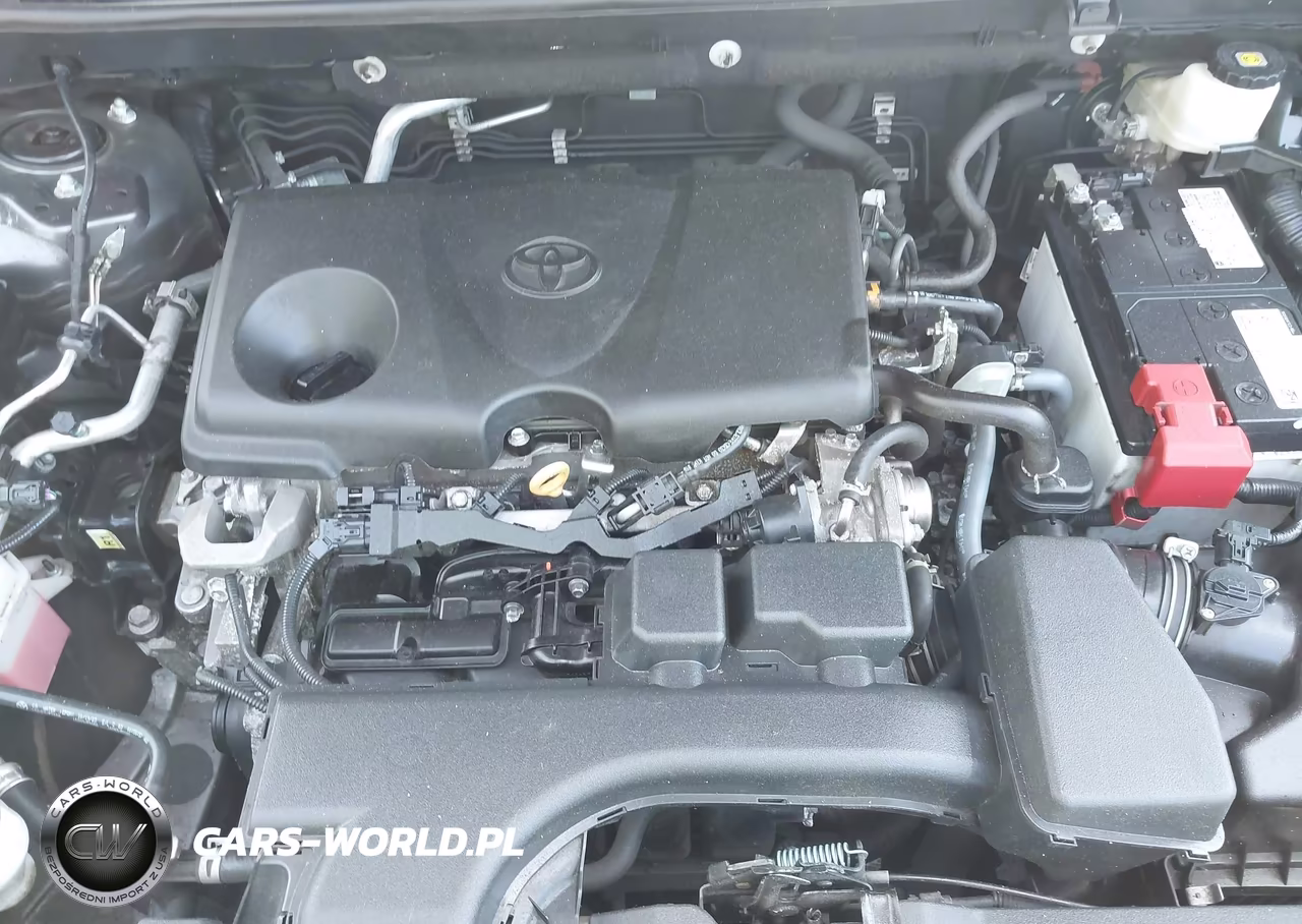 2024 Toyota Rav4 Xle VIN:2T3P1RFV8RW419290 - 10