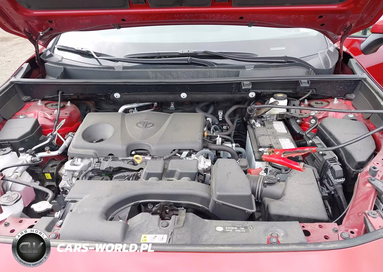 2024 Toyota Rav4 Xle VIN:2T3P1RFV4RW441058 - 10