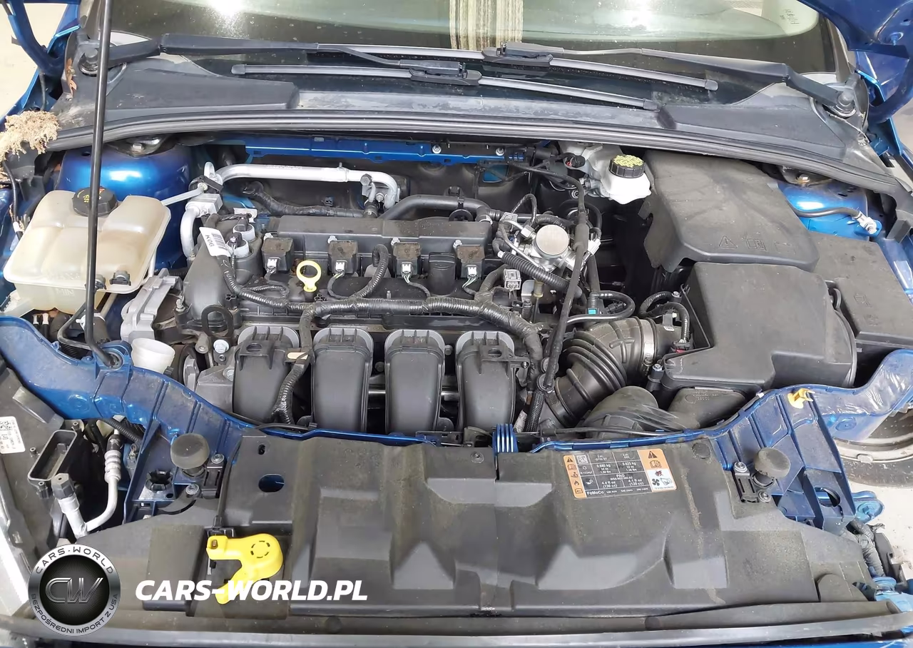 2018 Ford Focus Se VIN:1FADP3K23JL231204 - 10