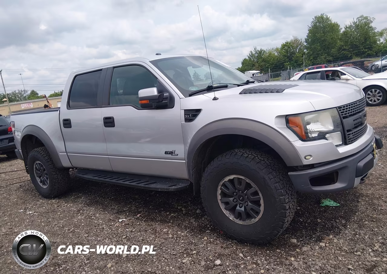 2011 Ford F-150 Svt Raptor VIN:1FTFW1R69BFB97448 - 13