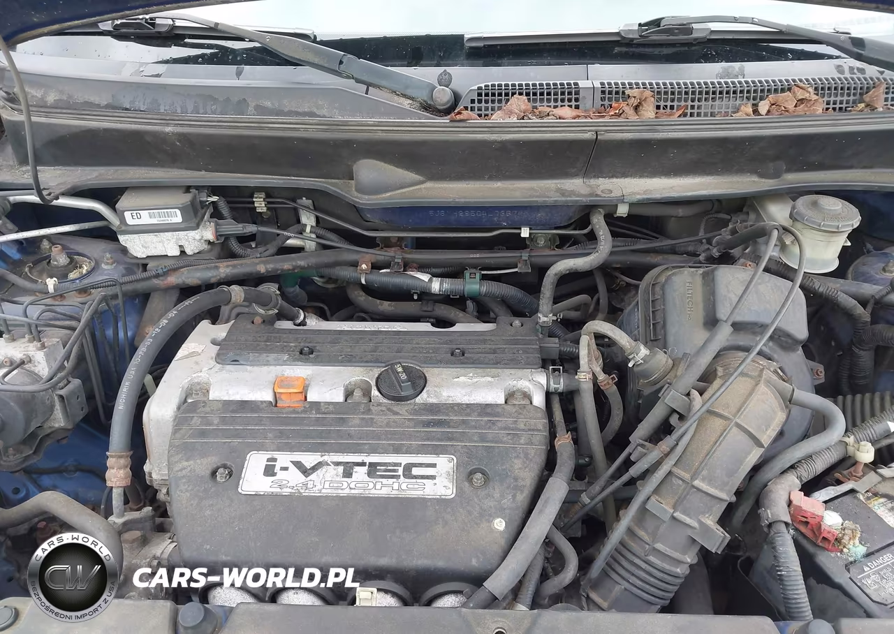 2004 Honda Element Ex VIN:5J6YH28504L036745 - 10