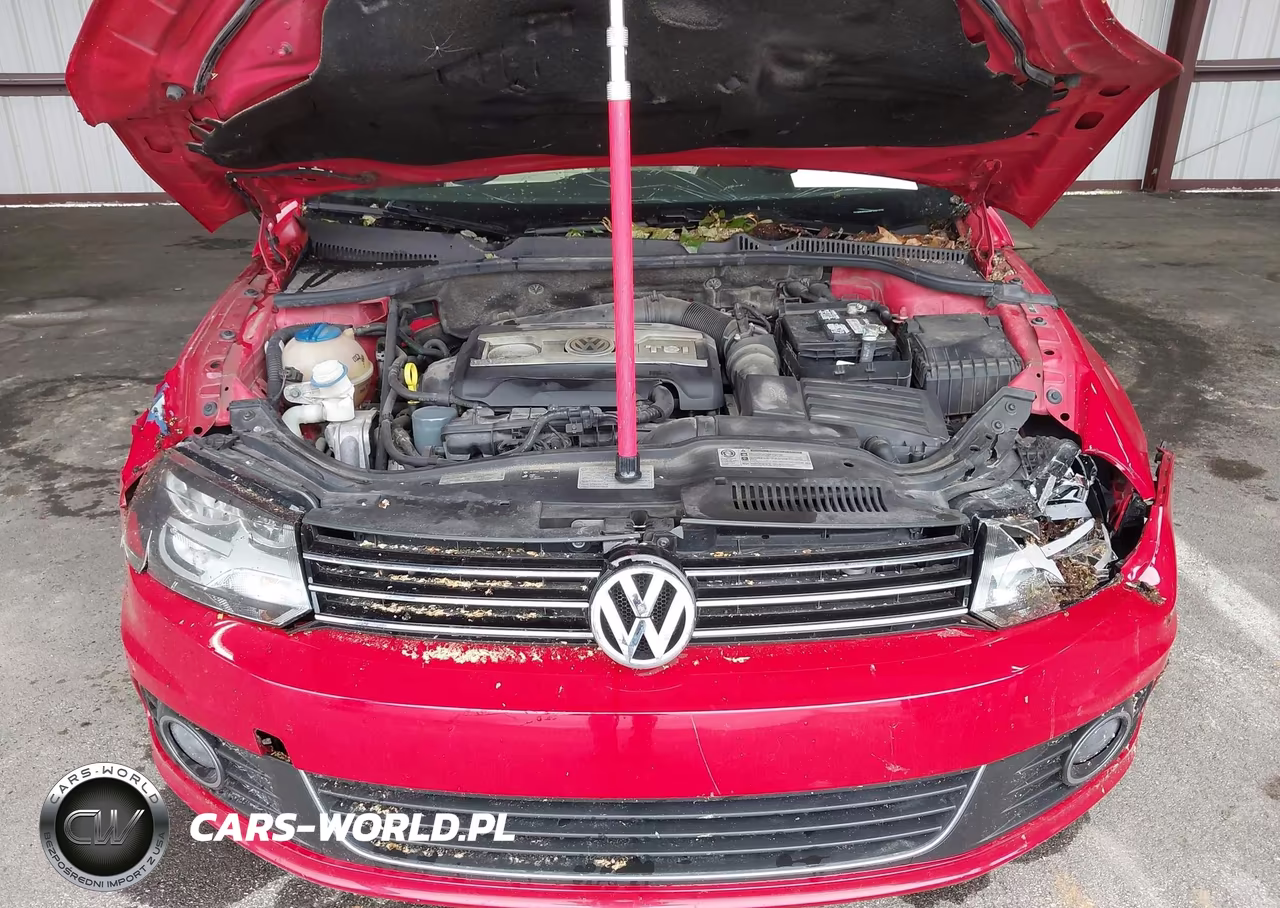 2014 Volkswagen Eos Komfort VIN:WVWBW8AH0EV001279 - 10