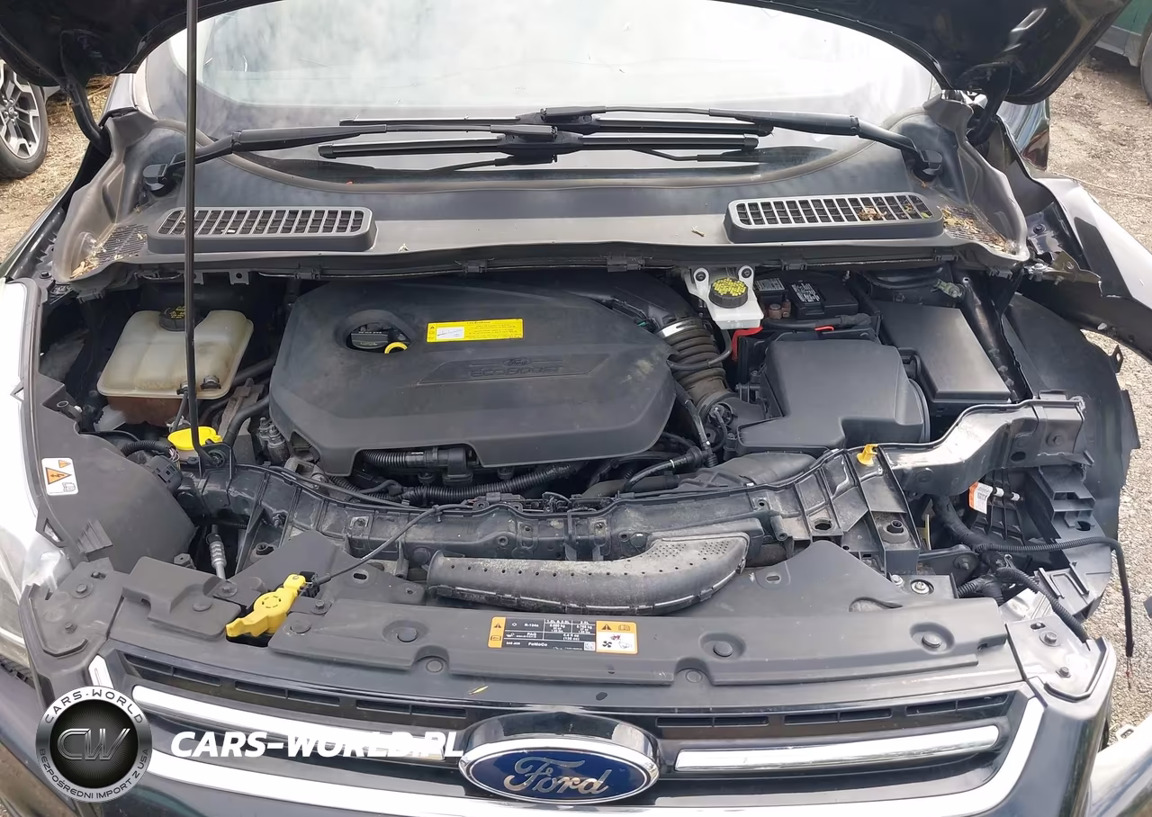 2016 Ford Escape Titanium VIN:1FMCU0JX4GUA20330 - 10