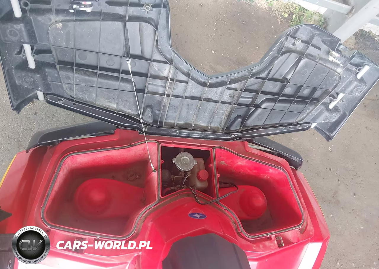 2010 Polaris Sportsman 400 VIN:4XALH46A8AE806971 - 16