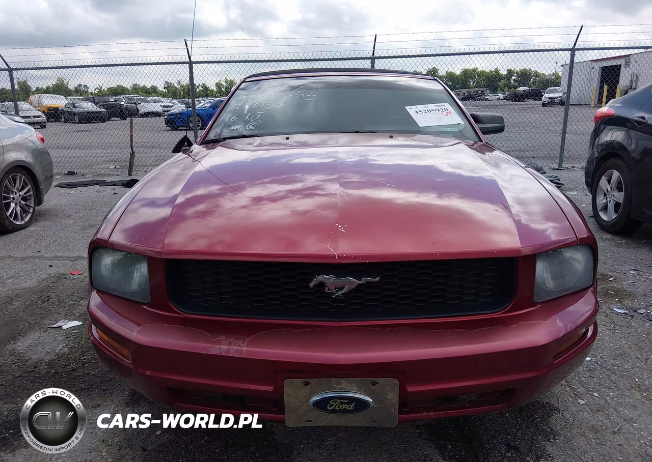 2005 Ford Mustang VIN:1ZVFT84N155219059 - 12