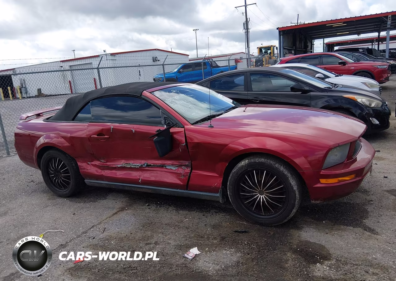 2005 Ford Mustang VIN:1ZVFT84N155219059 - 13