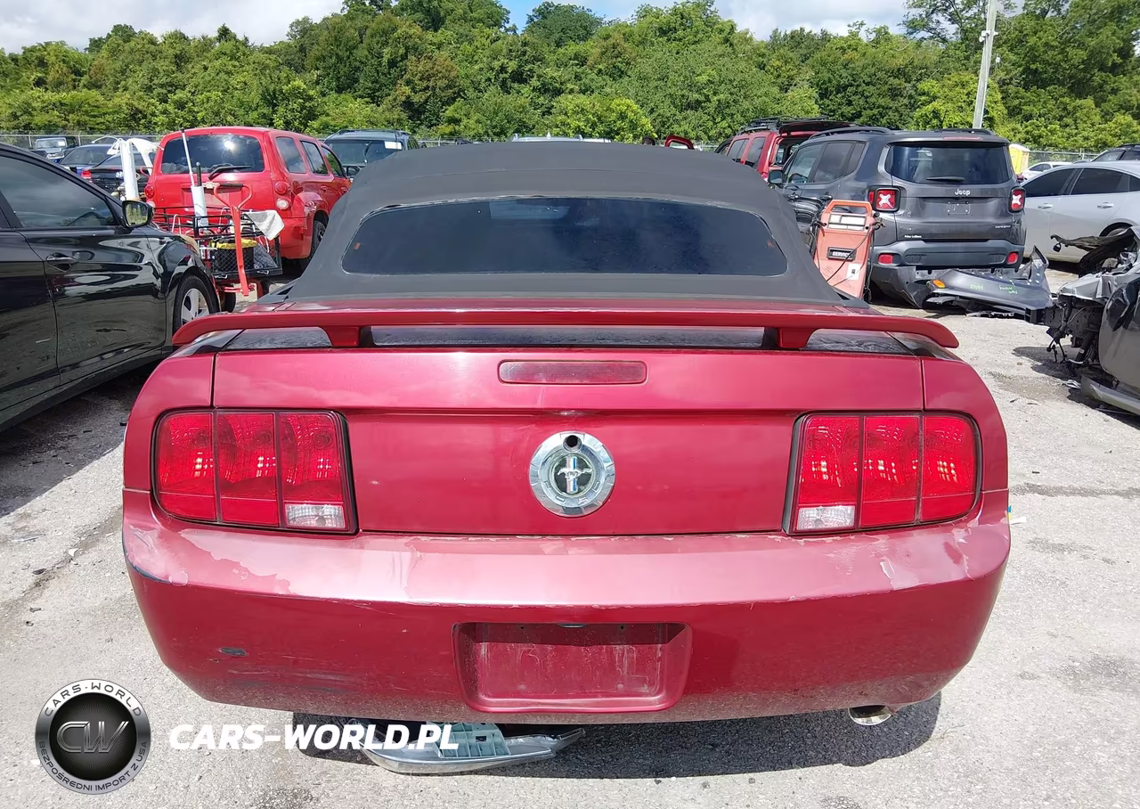 2005 Ford Mustang VIN:1ZVFT84N155219059 - 16