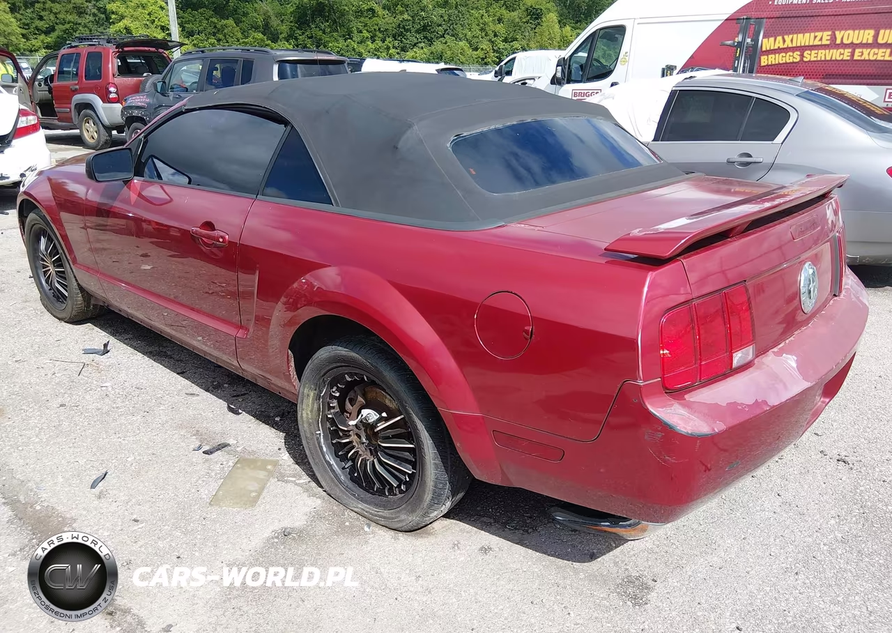 2005 Ford Mustang VIN:1ZVFT84N155219059 - 3