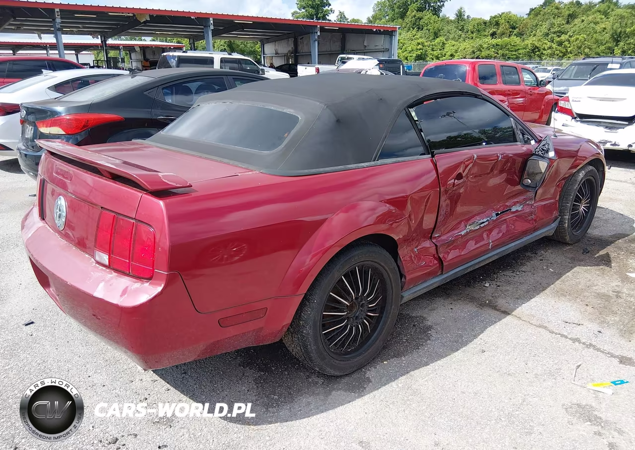 2005 Ford Mustang VIN:1ZVFT84N155219059 - 4