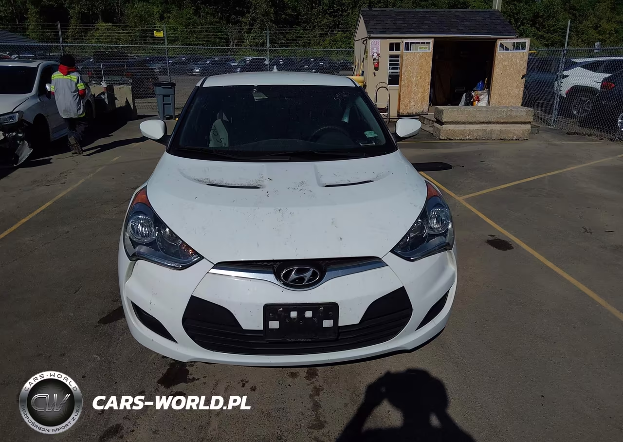 2013 Hyundai Veloster Base W-Gray VIN:KMHTC6AD9DU121189 - 12