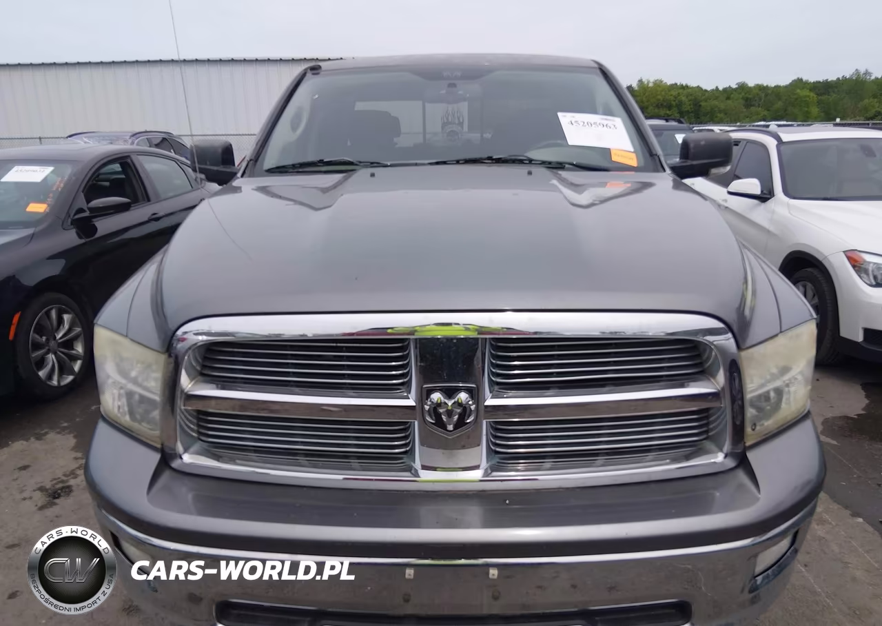 2010 Dodge Ram 1500 Slt-Sport-Trx VIN:1D7RB1GT4AS206473 - 12