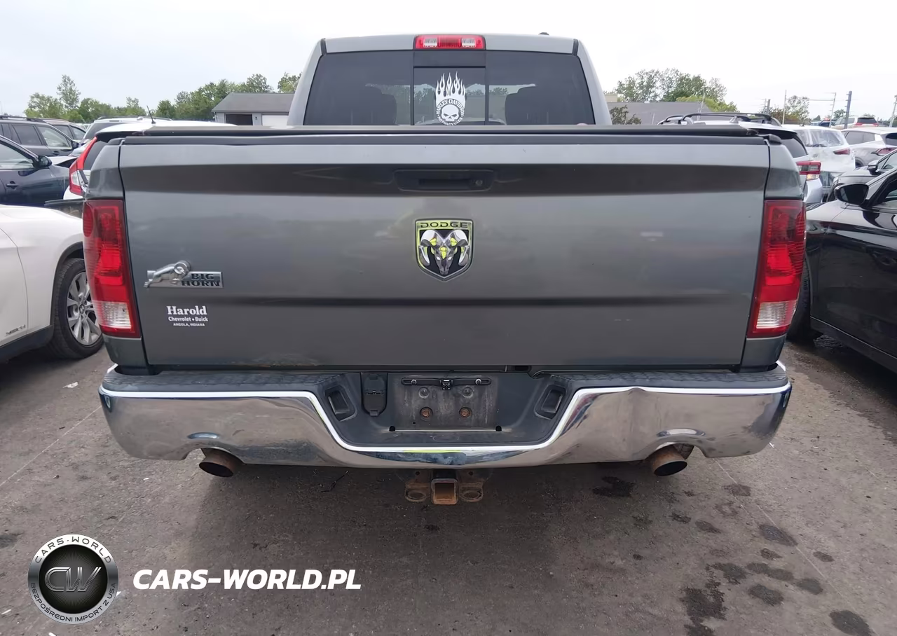 2010 Dodge Ram 1500 Slt-Sport-Trx VIN:1D7RB1GT4AS206473 - 16