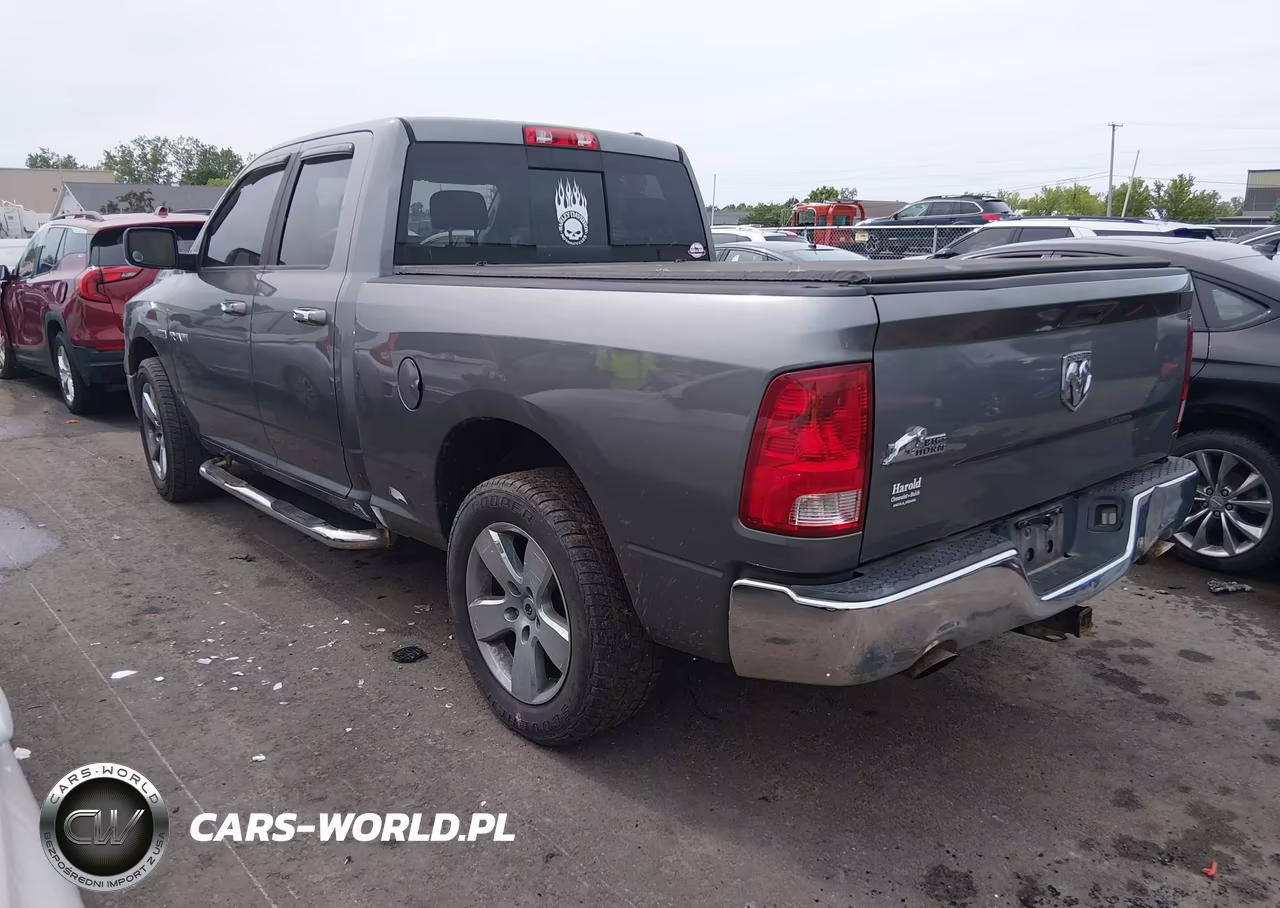 2010 Dodge Ram 1500 Slt-Sport-Trx VIN:1D7RB1GT4AS206473 - 3