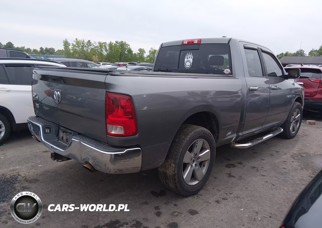 2010 Dodge Ram 1500 Slt-Sport-Trx VIN:1D7RB1GT4AS206473 - 4