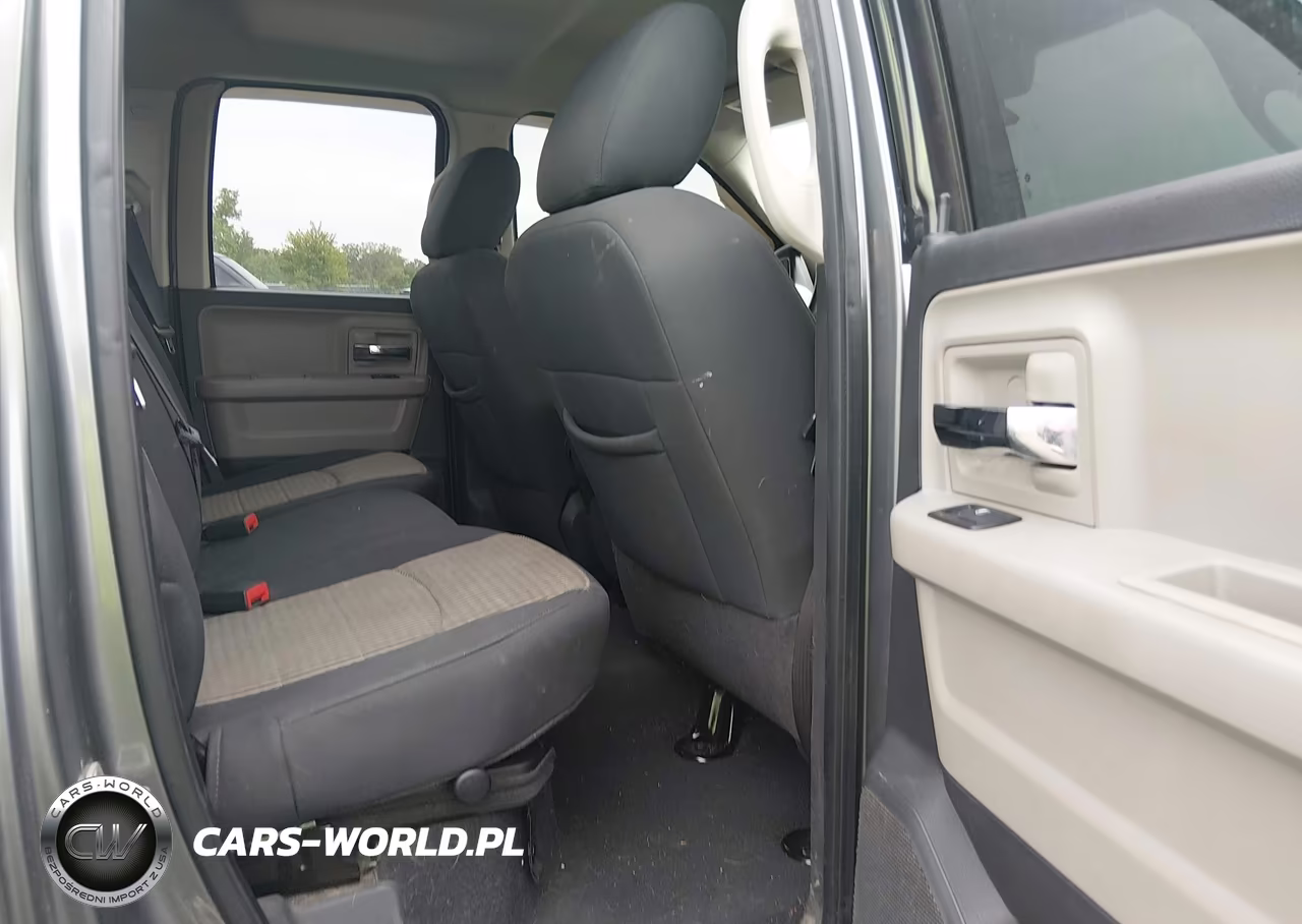 2010 Dodge Ram 1500 Slt-Sport-Trx VIN:1D7RB1GT4AS206473 - 8