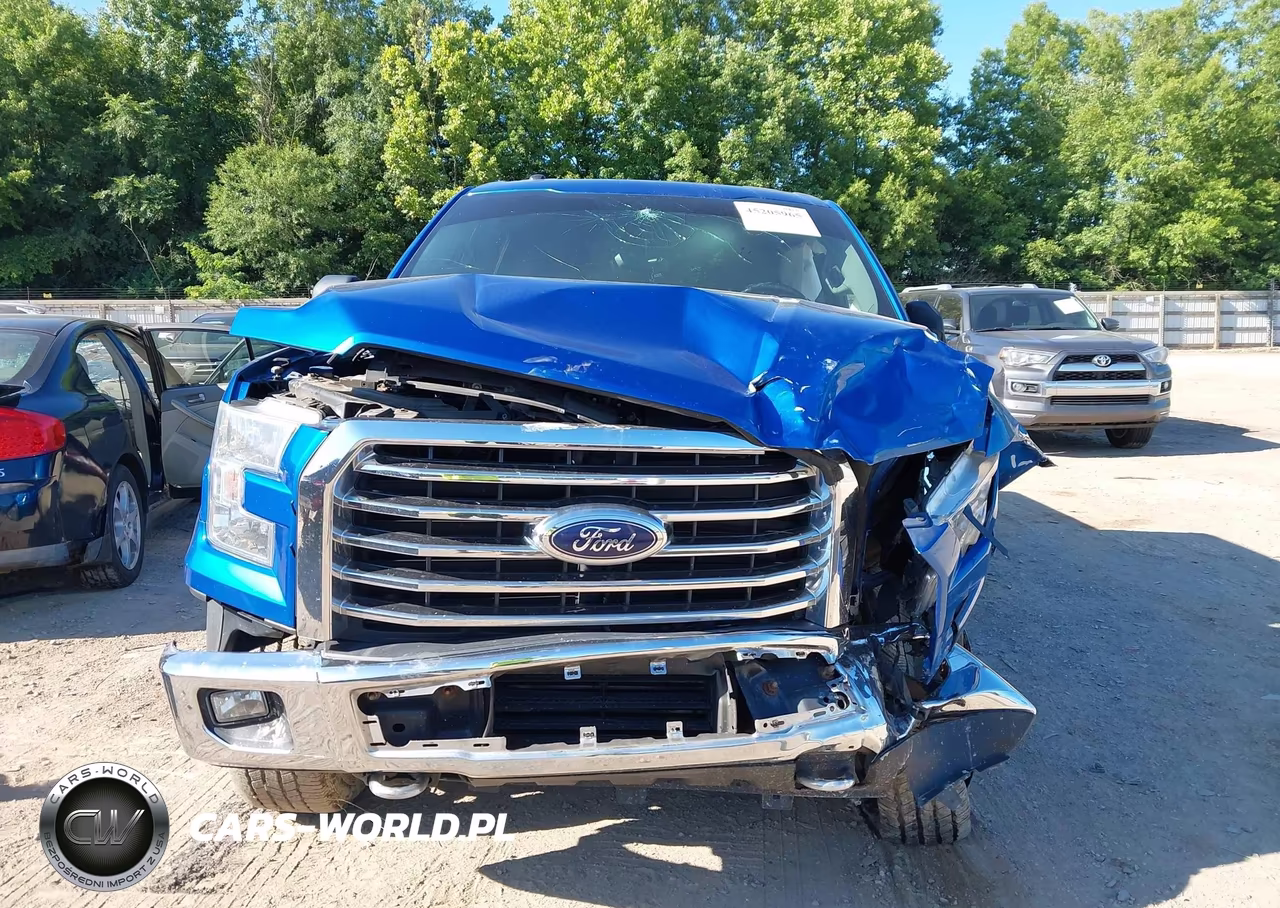 2015 Ford F-150 Xlt VIN:1FTEW1EG9FFC71516 - 12
